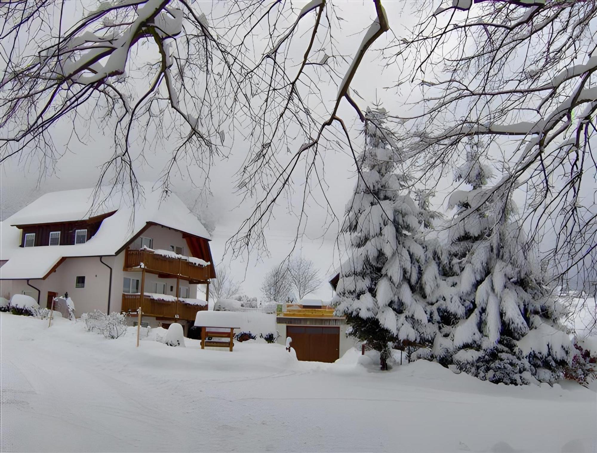 Apartament Ferien Auf Dem Steingrubenhof Sankt Peter Zewnętrze zdjęcie